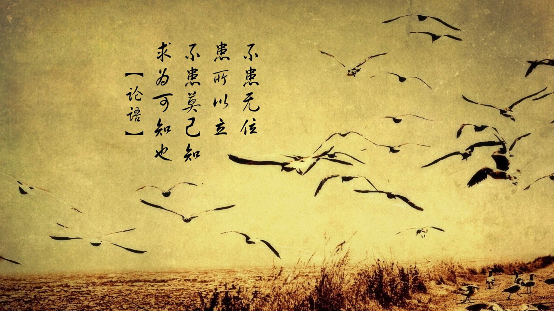 潜水装备有哪些东西（潜水装备清单）