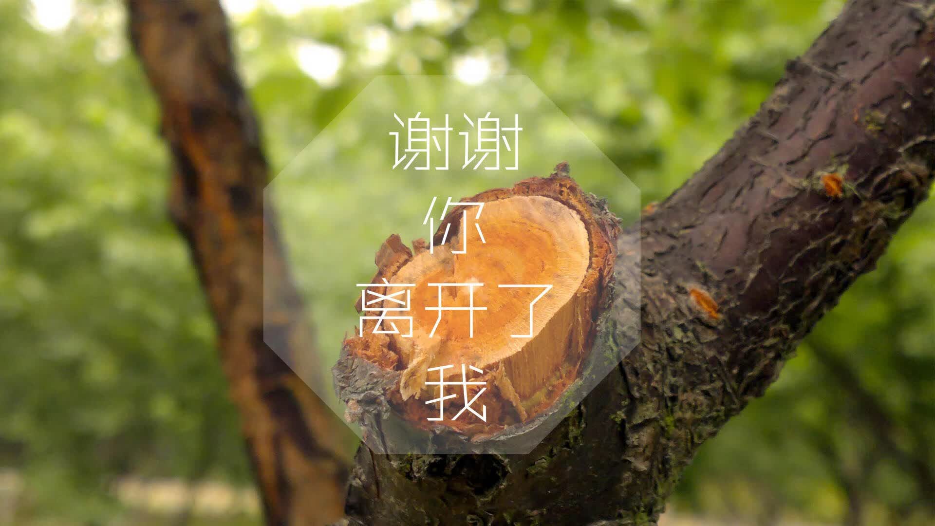深海探测器名字大全最新图片（深海探测器带摄像头吗）